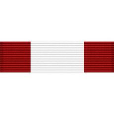 Georgia National Guard Defense Force Achievement Ribbon